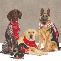 Sweater Dogs Lunch Napkins