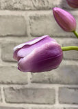 Fresh Touch Tulips - 19" Lavender