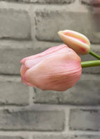Fresh Touch Tulips - 19" Pink