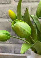 Fresh Touch Tulips - 12" Green