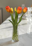 Fresh Touch Tulips - 18" Orange