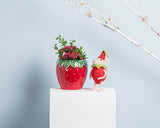 Mouse in Strawberry Costume