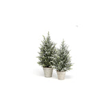 Snow Fern Tree Medium Green