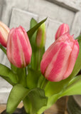 Fresh Touch Tulips - 12" Cotton Candy Pink