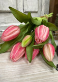 Fresh Touch Tulips - 12" Cotton Candy Pink