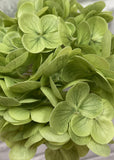 Fresh Touch Hydrangea Stem - 12" Green