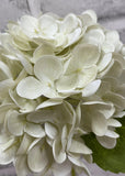Fresh Touch Hydrangea Stem - 12" Cream