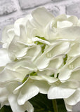 Fresh Touch Hydrangea Plant- White