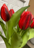 Fresh Touch Tulips - 12" Red