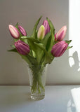 Fresh Touch Tulips - 12" Light Plum