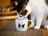 Peering Cat Mug