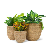 Large Seagrass Covered Planter