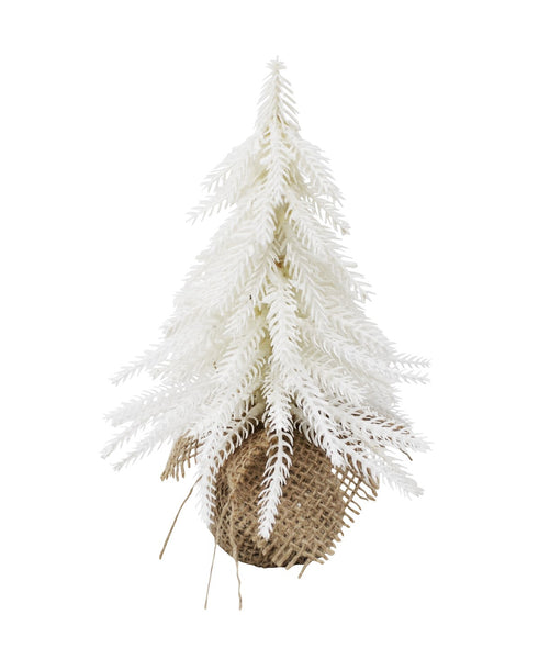 White Fir Mini Tree