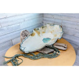 Oyster Shell Large